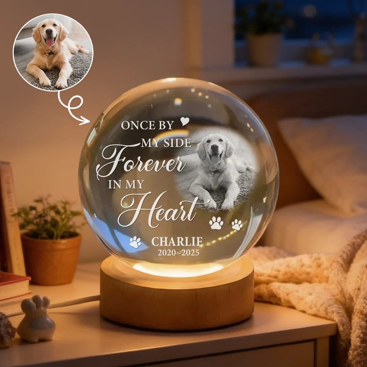 Forever in My Heart Personalized Globe Lamp, Gentle Pet Remembrance and Creative Gift for Dog Owners