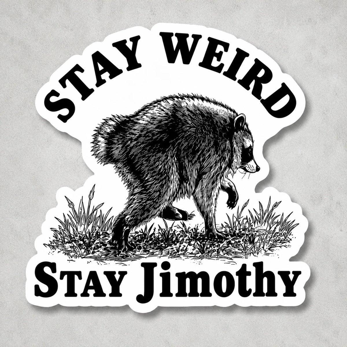 Viral Jimothy Raccoon Sticker Decal, Playful Personalized Wildlife Decor & Creative Gift for Game Room