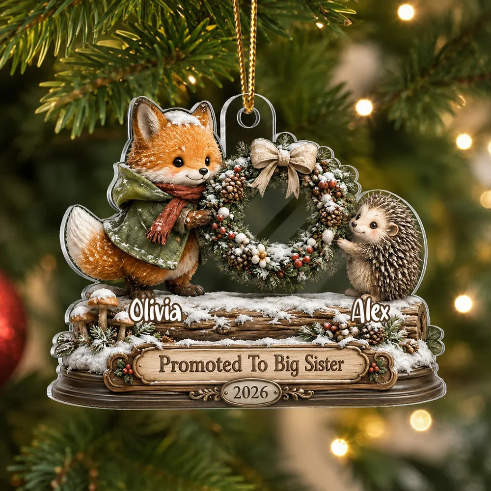 Big Brother Sister Acrylic Ornament, Cozy Woodland Christmas Keepsake, Personalized Creative Gift for Family