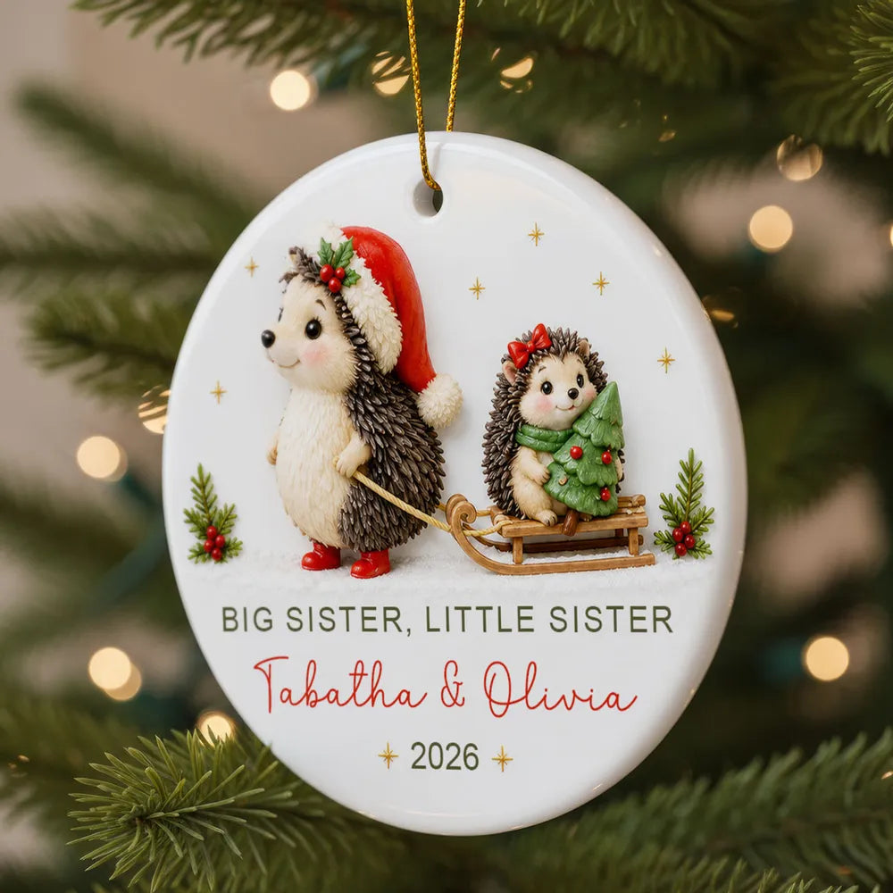 Personalized Ceramic Ornament, Sister Hedgehogs in a Snowy Sled Scene, Creative Keepsake Gift for Sisters