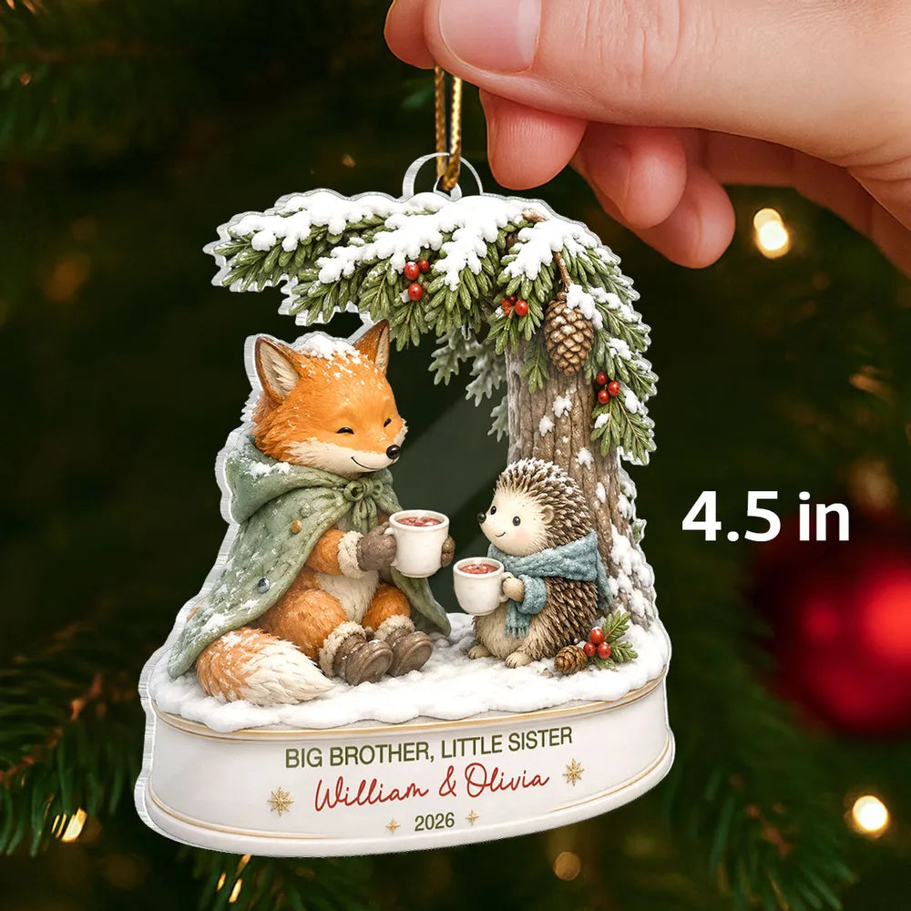 Big Brother Little Sister Acrylic Ornament, Sharing Cocoa in a Cozy Winter Scene, Personalized Creative Gift