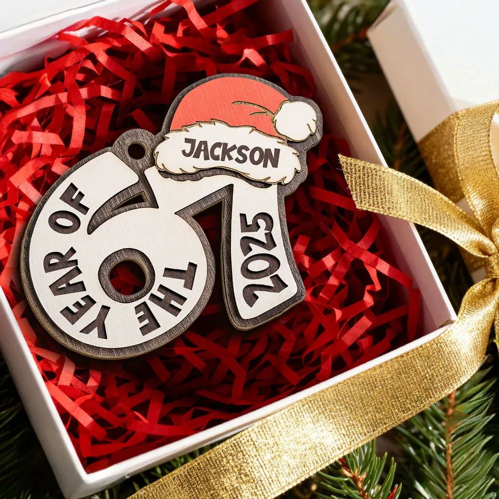 Personalized Acrylic Ornament with Santa Hat Design, Custom Teen Slang Gift for Christmas Tree, Fun Keepsake Holiday Gift