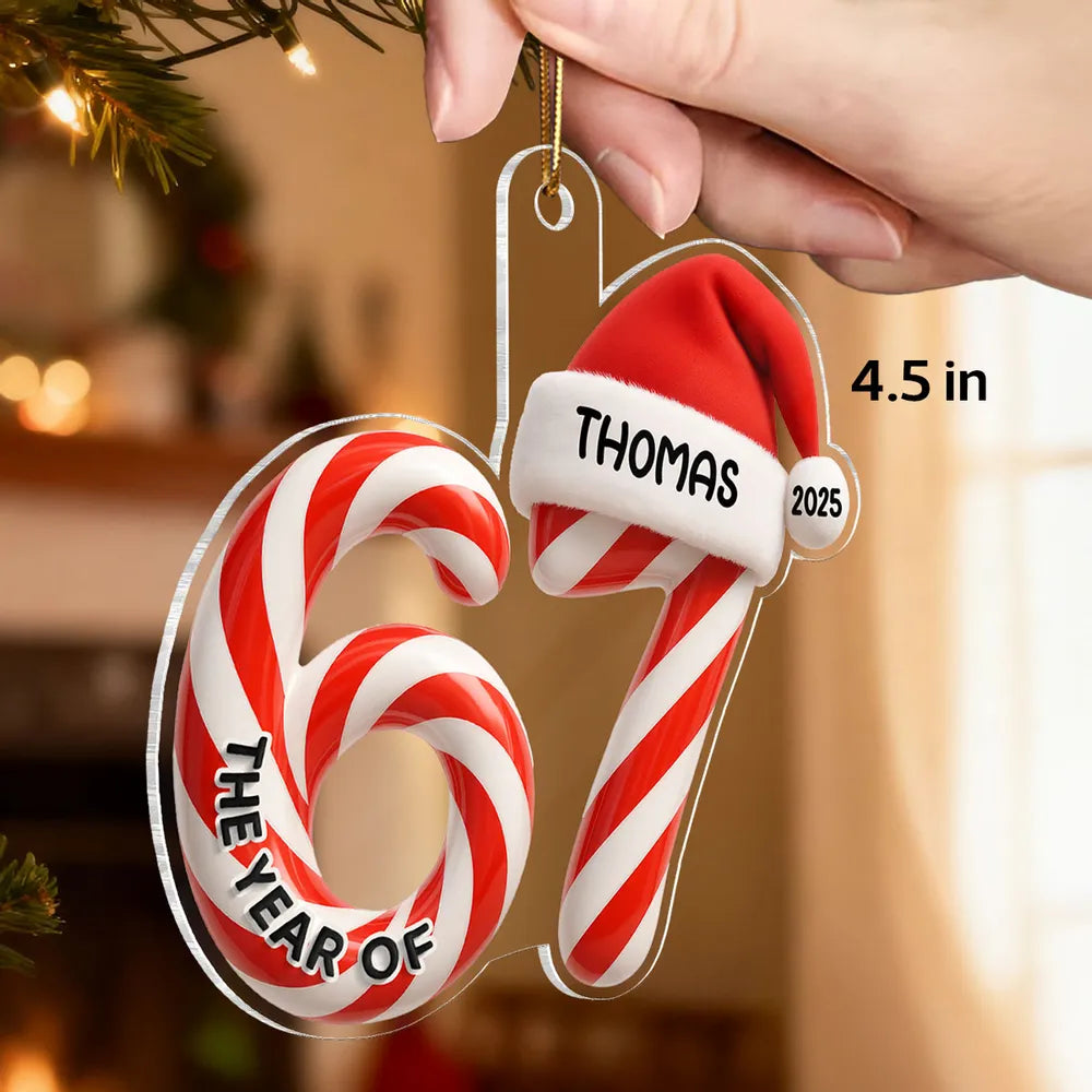 Personalized Acrylic Ornament 67 Reindeer & Snowman Design Cute Christmas Decor Unique Gift for Kids & Teens