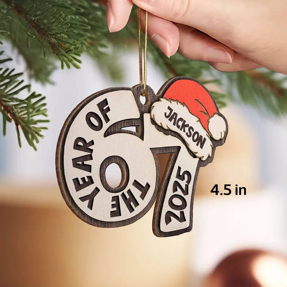 Personalized Acrylic Ornament with Santa Hat Design, Custom Teen Slang Gift for Christmas Tree, Fun Keepsake Holiday Gift
