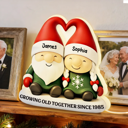 Acrylic Light Box, Christmas Gnome Couple Warm Glow for Bedroom & Shelf, Growing Old Together, Unique Gift for Couples