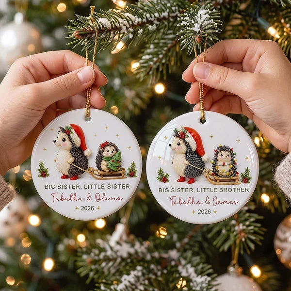 Personalized Ceramic Ornament, Sister Hedgehogs in a Snowy Sled Scene, Creative Keepsake Gift for Sisters