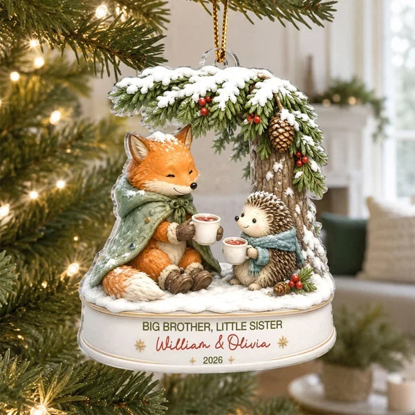 Big Brother Little Sister Acrylic Ornament, Sharing Cocoa in a Cozy Winter Scene, Personalized Creative Gift