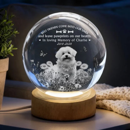 Personalized Globe Lamp with Dog Among Flowers, Unique Pet Memorial Gift for Dog Lovers
