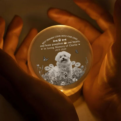 Personalized Globe Lamp with Dog Among Flowers, Unique Pet Memorial Gift for Dog Lovers