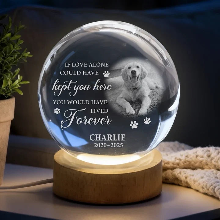Forever in My Heart Personalized Globe Lamp, Gentle Pet Remembrance and Creative Gift for Dog Owners