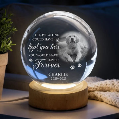 Forever in My Heart Personalized Globe Lamp, Gentle Pet Remembrance and Creative Gift for Dog Owners