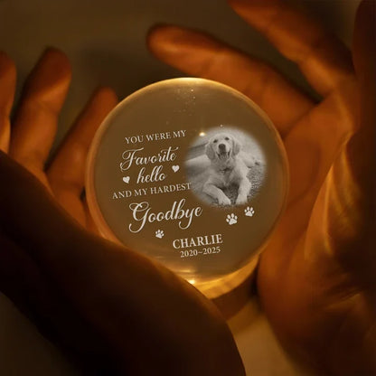 Forever in My Heart Personalized Globe Lamp, Gentle Pet Remembrance and Creative Gift for Dog Owners