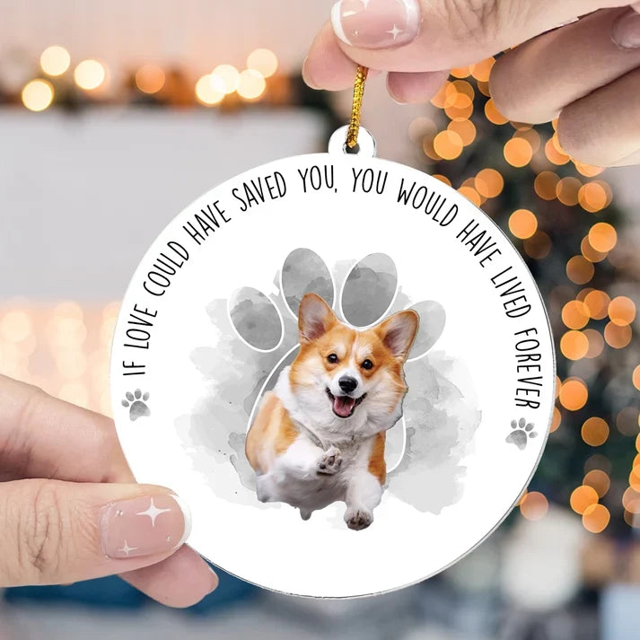 Personalized Acrylic Ornament, Custom Dog Photo Memorial with Goodbye Quote, Unique Sympathy Gift for Pet Owner