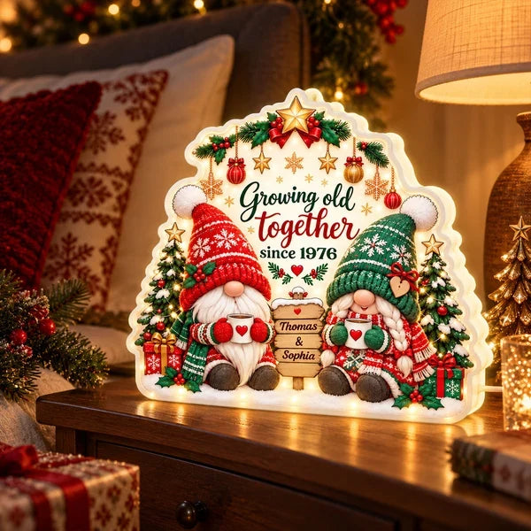 Personalized Acrylic Light Box, Gnome Couple Holding Mugs in a Snowy Christmas Scene, Unique Gift for Couples