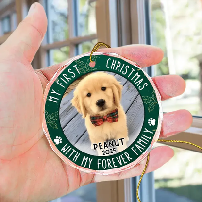 Crystal Ornament with Pet Photo, My First Christmas Circle Design in Green Holly, a Unique Gift for Pet Parents