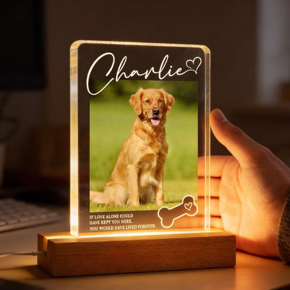 Personalized Pet Memorial Block LED Light Plaque with Custom Photo and Name - Warm Night Light Unique Gift for Dog Lovers