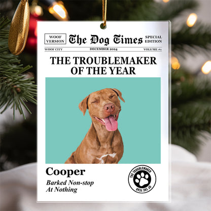 Personalized Pet Ornament – A Loving Tribute to Your Furry Friend