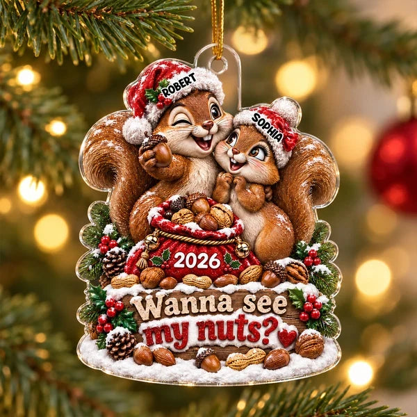 Personalized Acrylic Ornament with Cuddling Christmas Squirrels, Creative Gift for Couples