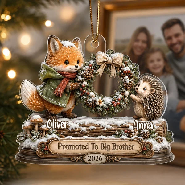 Big Brother Sister Acrylic Ornament, Cozy Woodland Christmas Keepsake, Personalized Creative Gift for Family