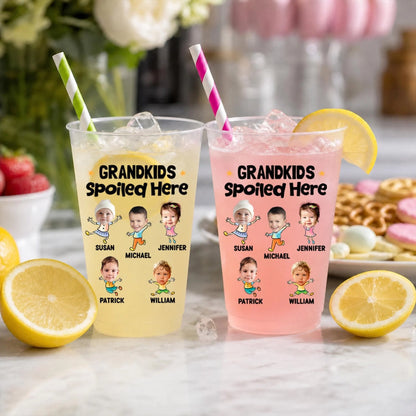 Personalized Frosted Plastic Cup, Grandkids Spoiled Here, Backyard BBQ, Unique Gift for Grandparents