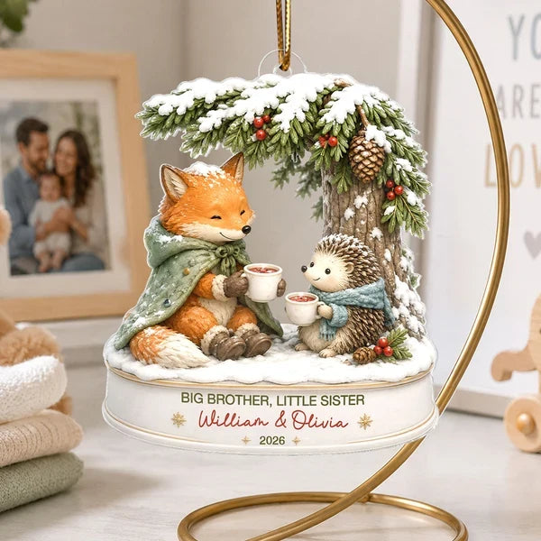 Big Brother Little Sister Acrylic Ornament, Sharing Cocoa in a Cozy Winter Scene, Personalized Creative Gift